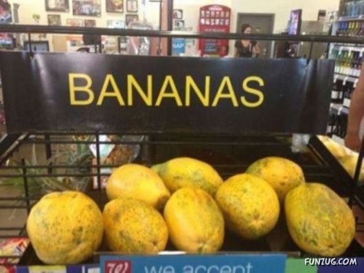 So Crazy Funny Pictures