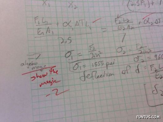 So Crazy Funny Pictures