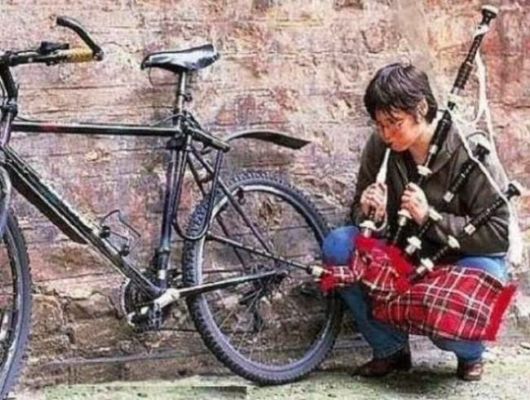 A Crazy Collection Of OMG Pictures