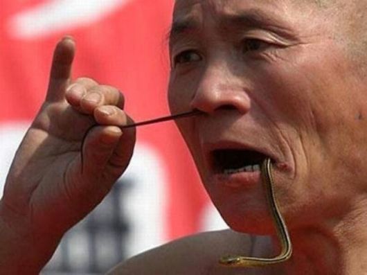 A Crazy Collection Of OMG Pictures