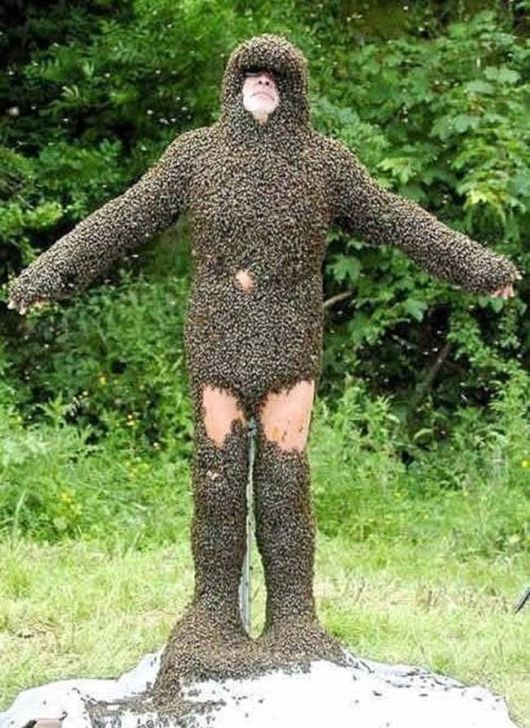 A Crazy Collection Of OMG Pictures