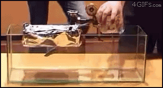 These Insane GIFs Show Science In Action
