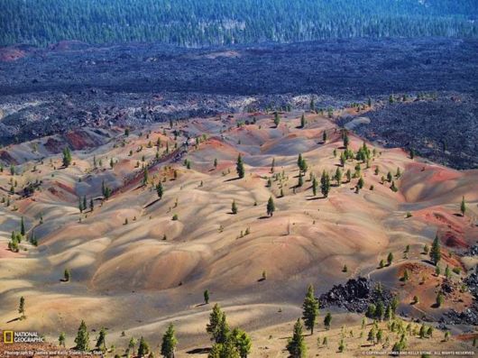 Amazing Pictures That Look Like Paintings
