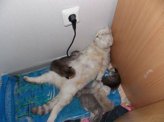 Cool Pic Dump Of The Week