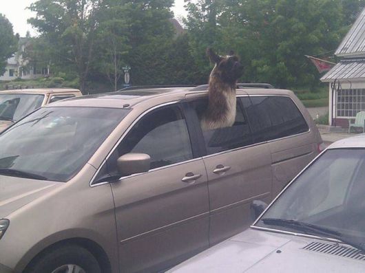 Cool Pic Dump Of The Week