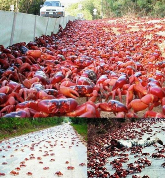 Cool Pic Dump Of The Week