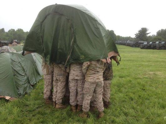 Cool Pic Dump Of The Week