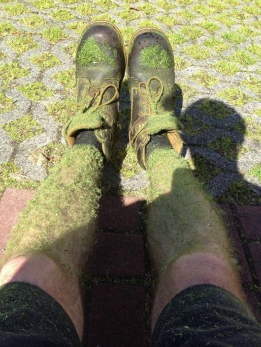 Cool Pic Dump Of The Week