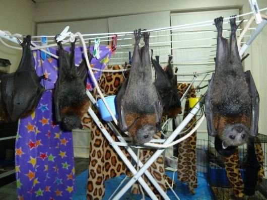 Cool Pic Dump Of The Week