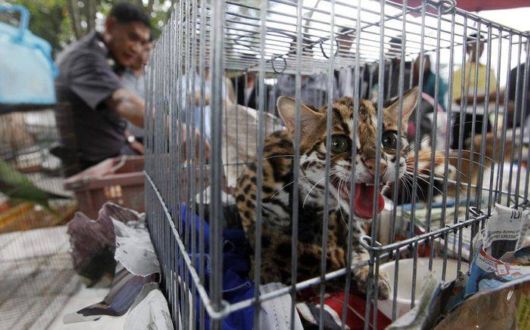 Cool Pic Dump Of The Week