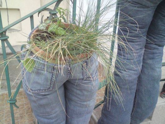 Coolest Pic Dump Of The Week