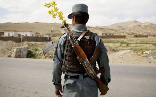 Coolest Pic Dump Of The Week