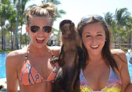 Coolest Pic Dump Of The Week