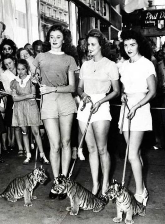 Coolest Pic Dump Of The Week