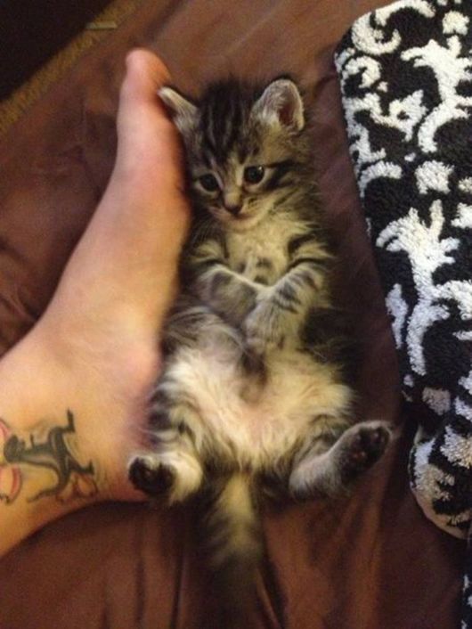 Coolest Pic Dump Of The Week