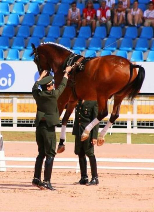 Coolest Pic Dump Of The Week