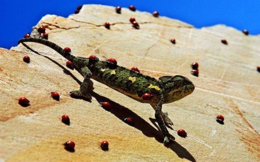 Coolest Pic Dump Of The Week