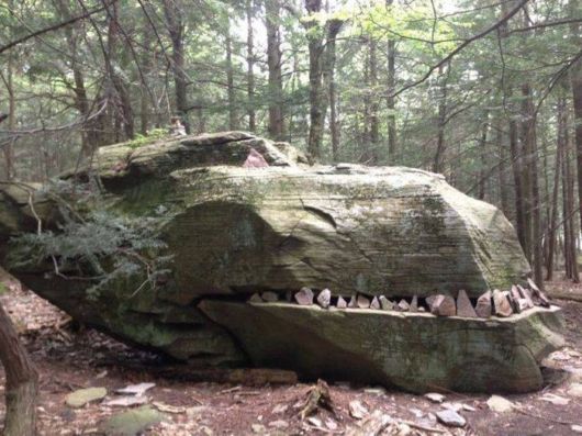 Funny Crazy Cool Pic Dump