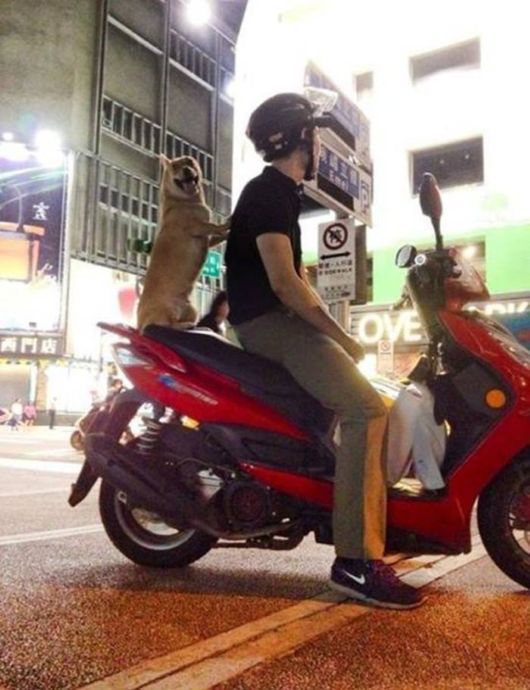 Funny Crazy Cool Pic Dump