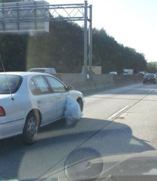 Funny Crazy Cool Pic Dump