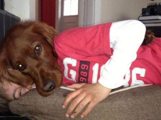 Funny Crazy Cool Pic Dump