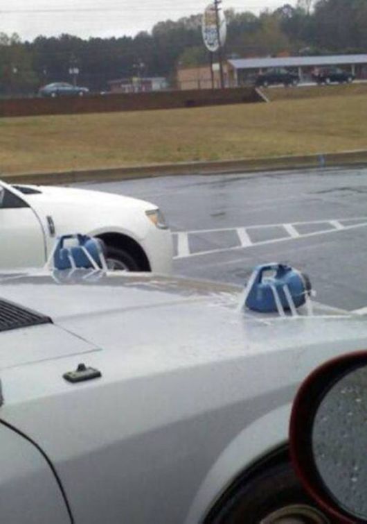 Funny Crazy Cool Pic Dump