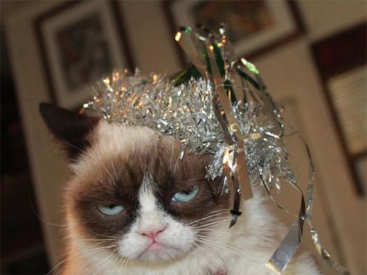 The Morning After The Grand Party Last Night