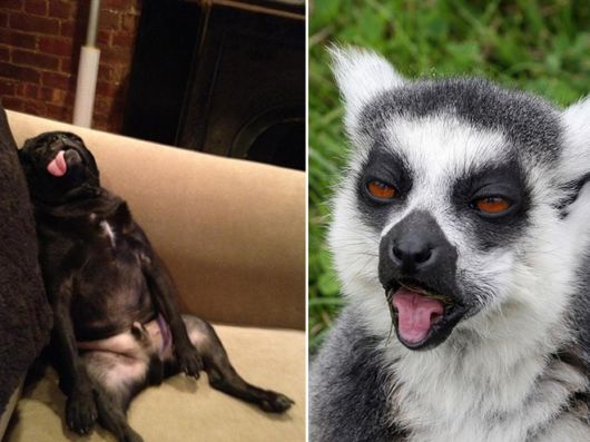 The Morning After The Grand Party Last Night