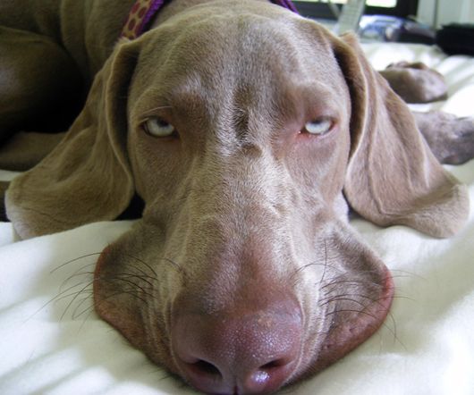 The Morning After The Grand Party Last Night