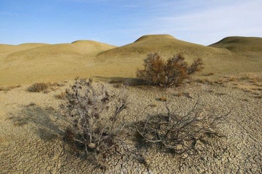 Aral Sea - The Dead One