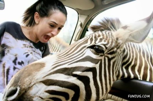 Unique Right Moment Photos