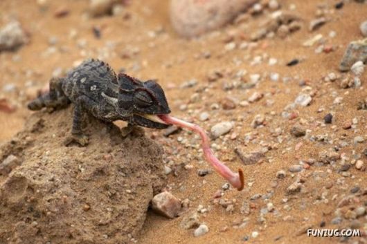 Unique Right Moment Photos