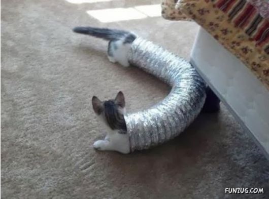 Unique Right Moment Photos