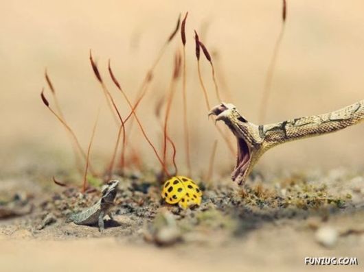 Unique Right Moment Photos