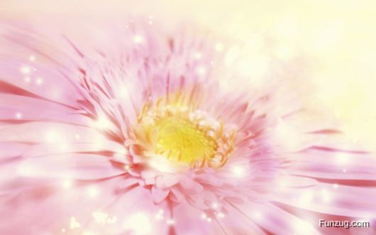 Click to Enlarge - Beautiful Spring Wallpapers