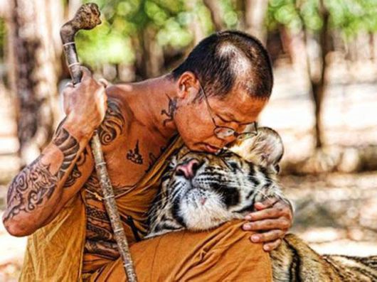 Unusual Friendships Between Human And Animals