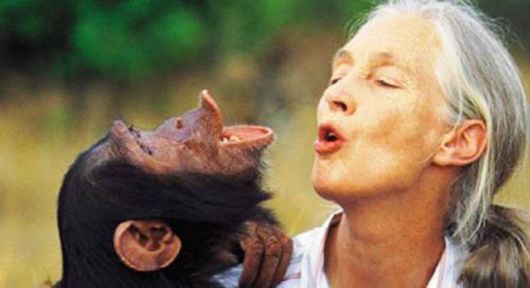 Unusual Friendships Between Human And Animals