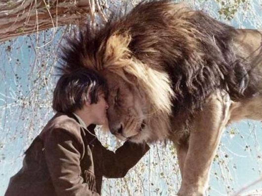 Unusual Friendships Between Human And Animals