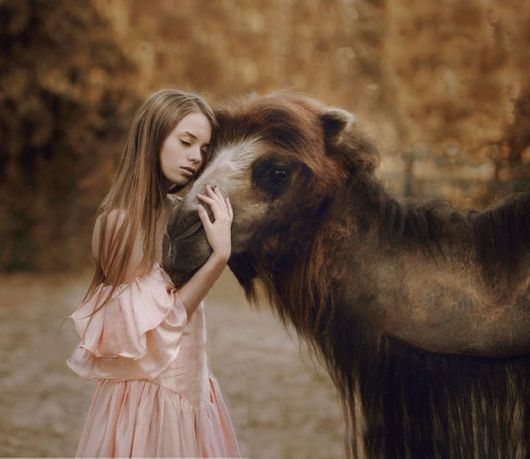 Unusual Friendships Between Human And Animals