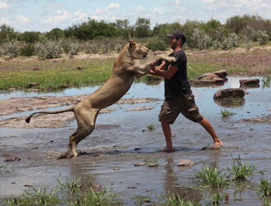 Unusual Friendships Between Human And Animals