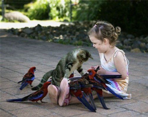 Unusual Friendships Between Human And Animals