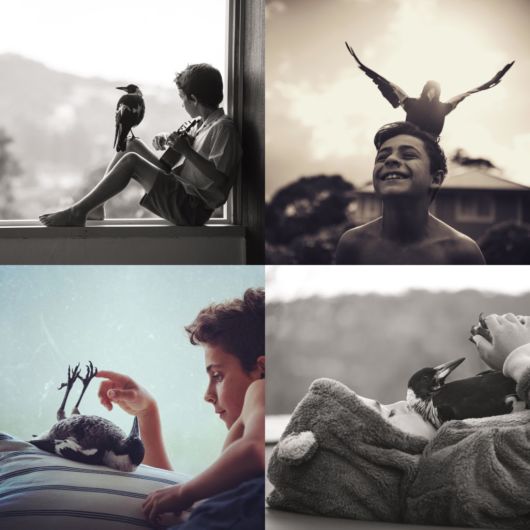 Unusual Friendships Between Human And Animals