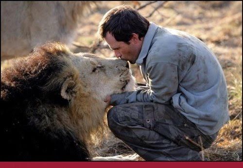 Unusual Friendships Between Human And Animals