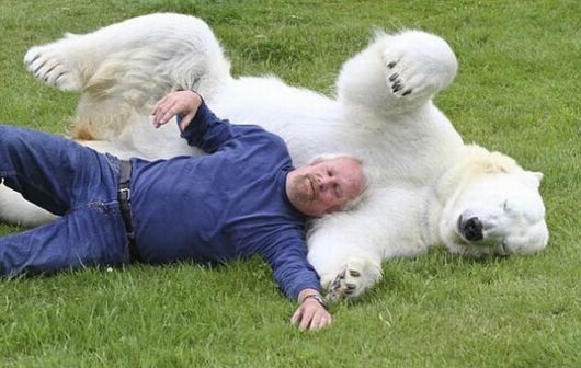 Unusual Friendships Between Human And Animals