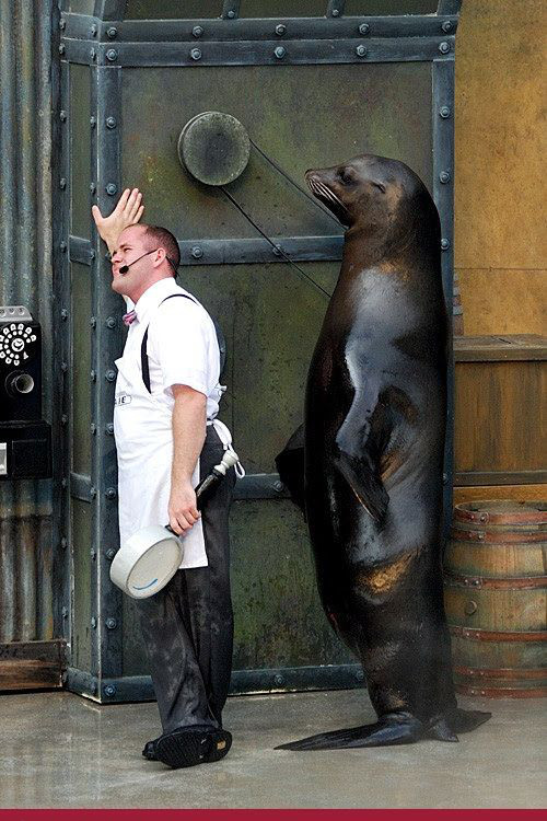 Unusual Friendships Between Human And Animals