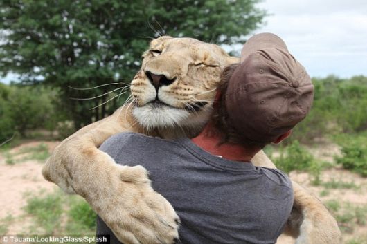 Unusual Friendships Between Human And Animals