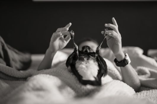 Unusual Friendships Between Human And Animals