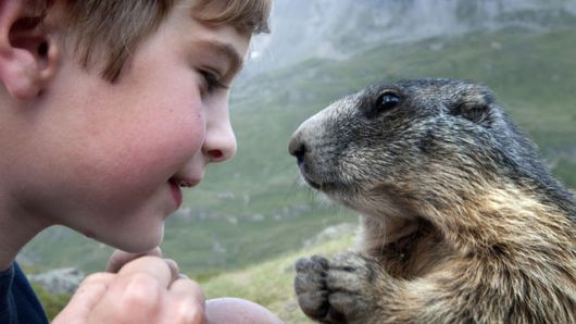 Unusual Friendships Between Human And Animals