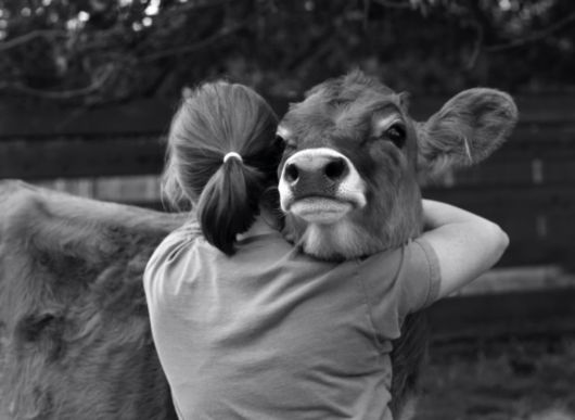 Unusual Friendships Between Human And Animals