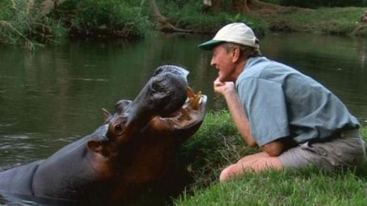 Unusual Friendships Between Human And Animals